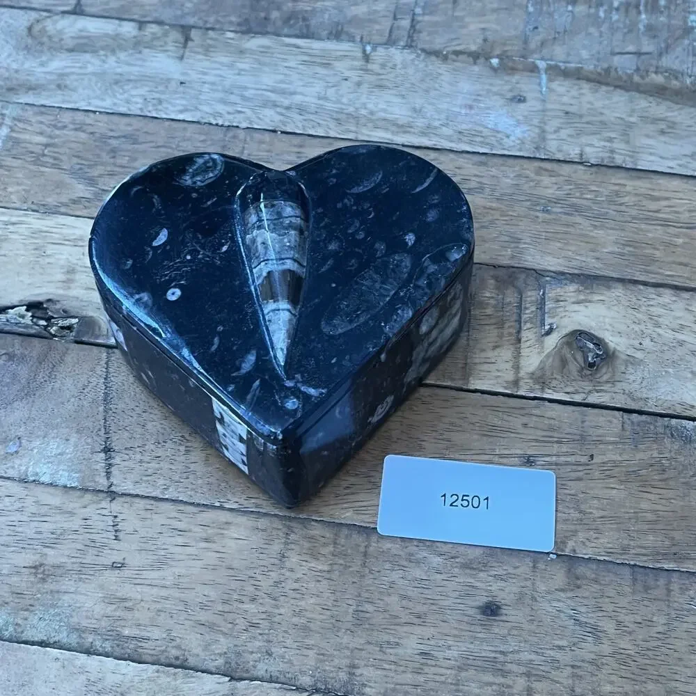 Orthoceras Fossil Heart Shaped Trinket Box 4